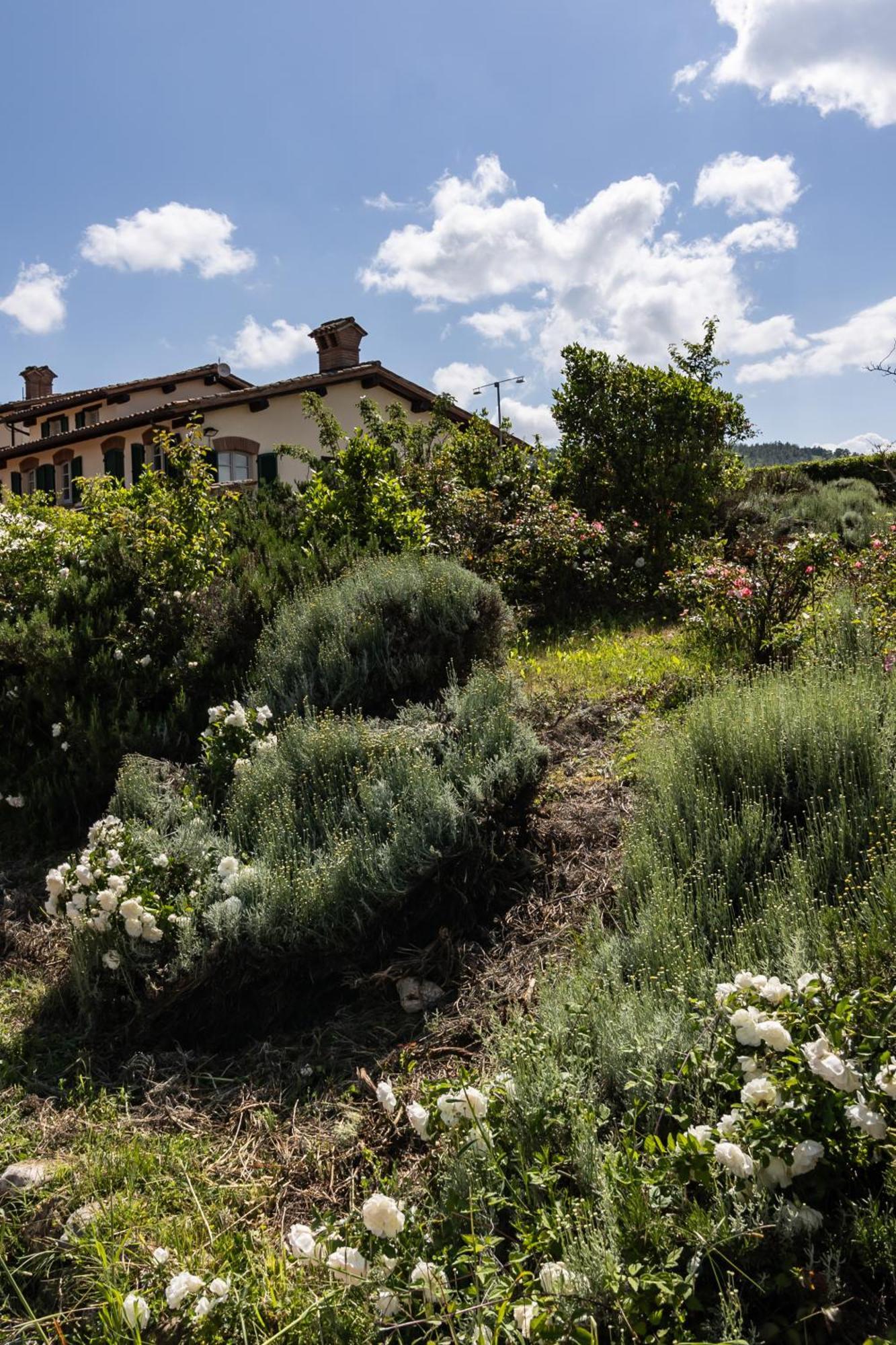 Tenuta Borgo San Michele Gubbio Exteriör bild